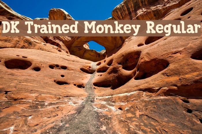 DK Trained Monkey Regular Font examples