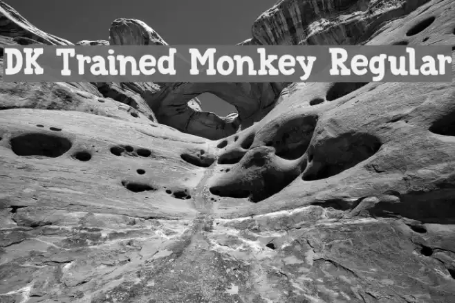DK Trained Monkey Regular Example 1