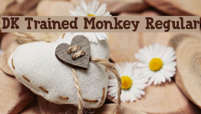 DK Trained Monkey Regular Font examples