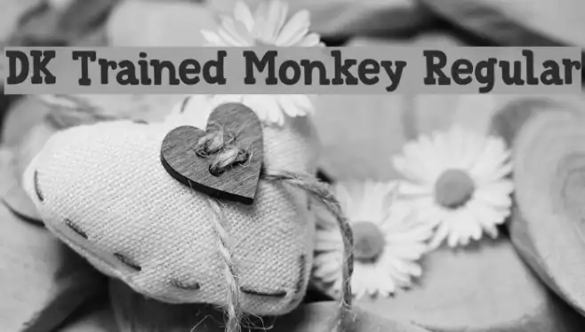 DK Trained Monkey Regular Example 2