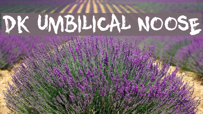 DK Umbilical Noose Font examples