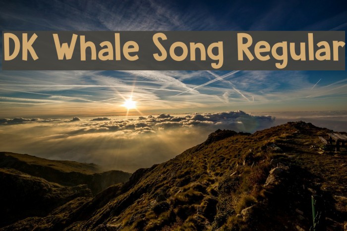 DK Whale Song Regular Font examples