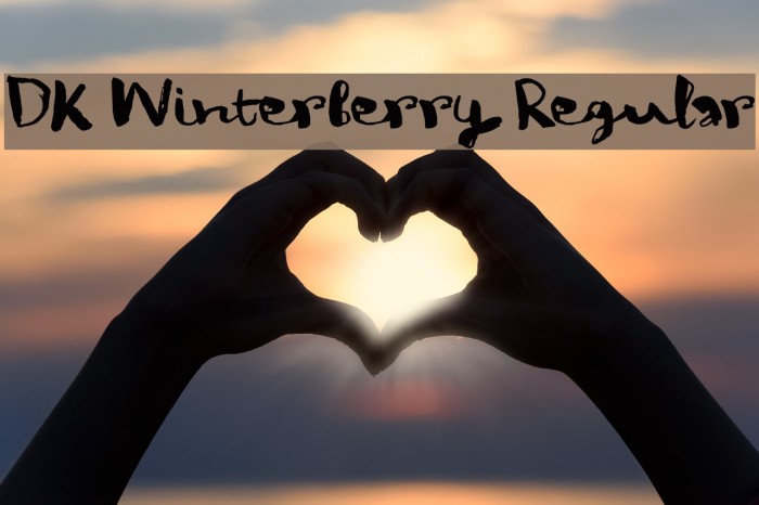 DK Winterberry Regular Example 2