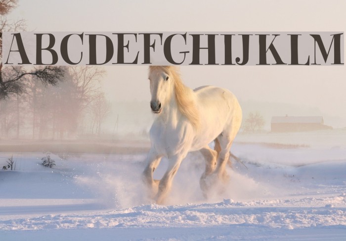 DKAbeille Font examples