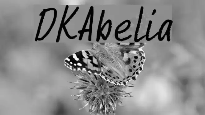 DKAbelia Font examples