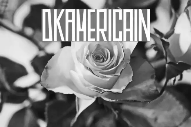 DKAmericain Example 2