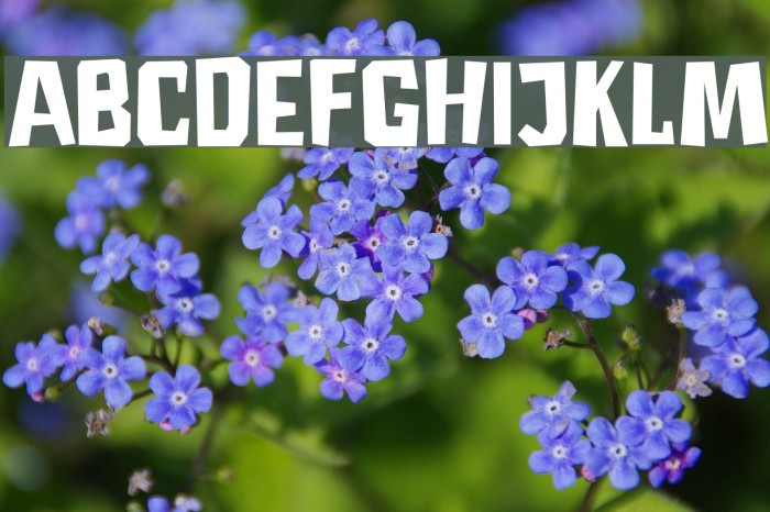 DKAstromonkey Example 1