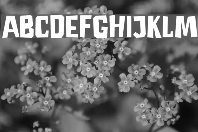 DKAstromonkey Font examples