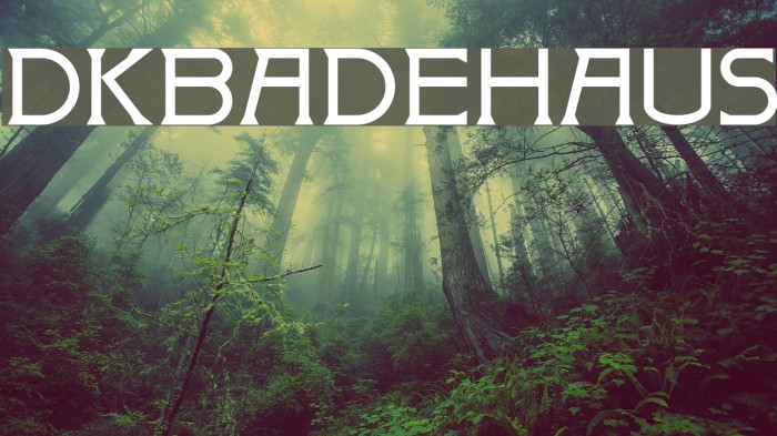 DKBadehaus Font examples