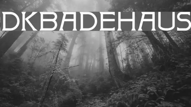 DKBadehaus Example 2