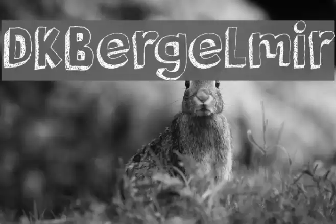 DKBergelmir Font examples