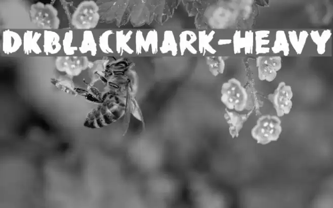 DKBlackMark-Heavy Font examples