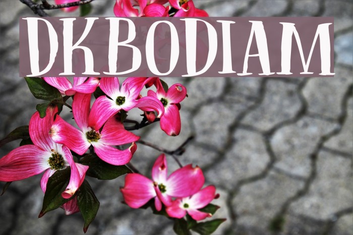 DKBodiam Font examples