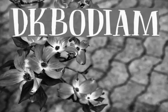 DKBodiam Example 2