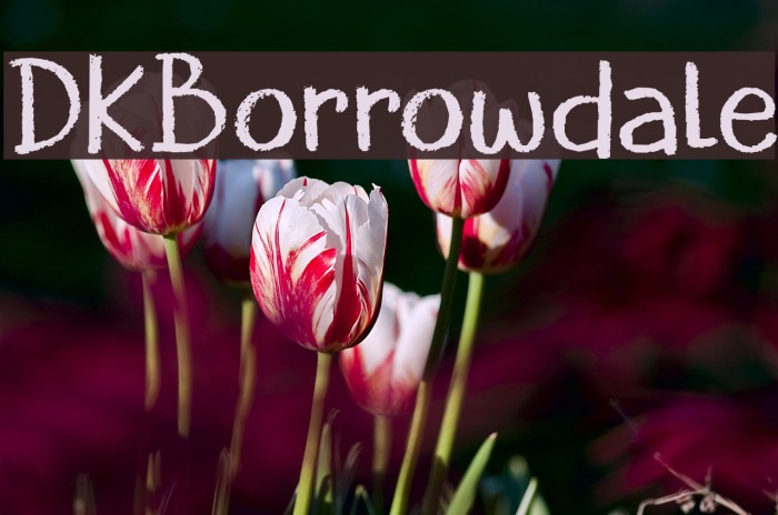DKBorrowdale Font examples