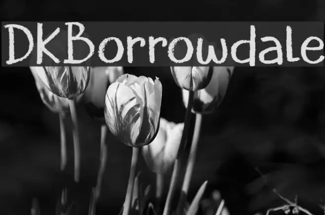 DKBorrowdale Example 3