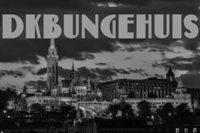 DKBungehuis Example 1
