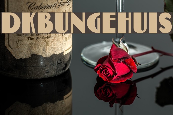 DKBungehuis Font examples