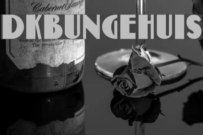 DKBungehuis Example 2