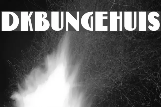 DKBungehuis Example 3