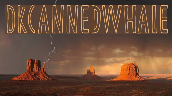 DKCannedWhale Font examples