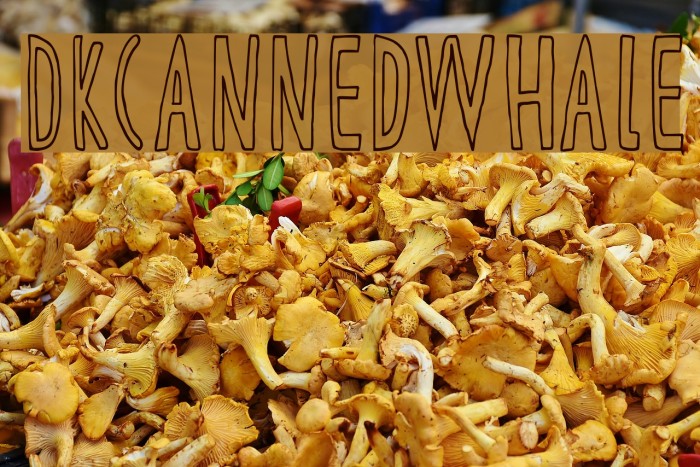 DKCannedWhale Font examples