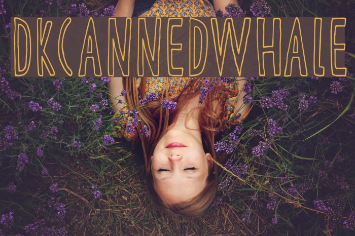 DKCannedWhale Font examples