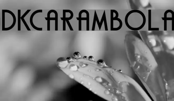 DKCarambola Font examples