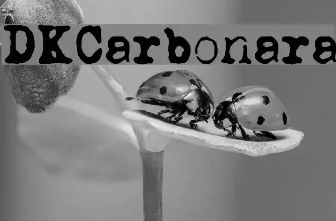 DKCarbonara Example 2