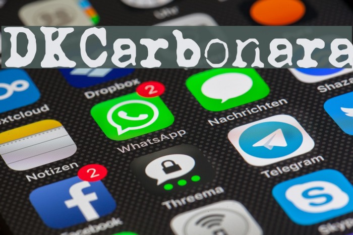 DKCarbonara Example 3