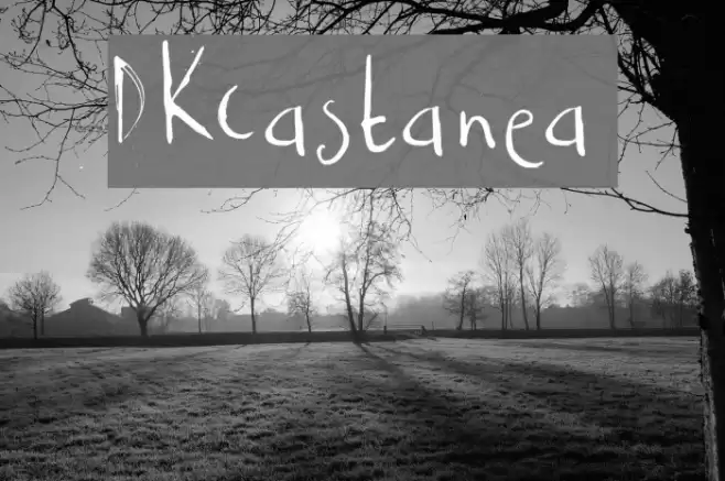 DKCastanea Font examples