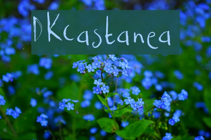 DKCastanea Example 2