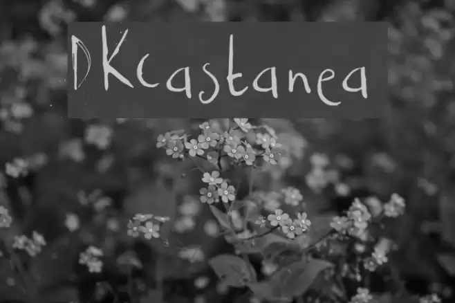 DKCastanea Font examples