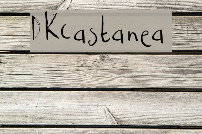 DKCastanea Example 3