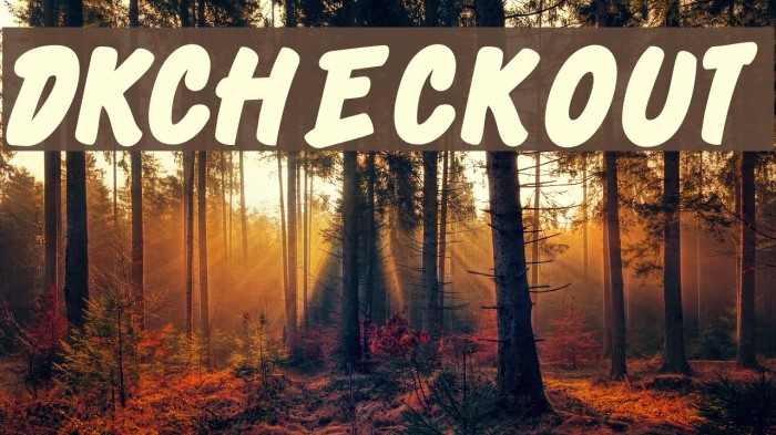 DKCheckout フォント examples
