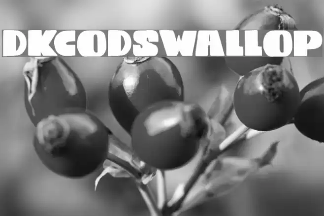 DKCodswallop Font examples