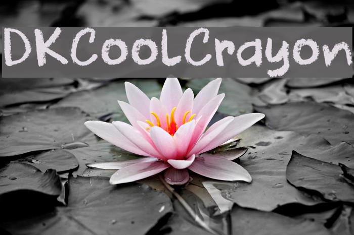 DKCoolCrayon Font examples