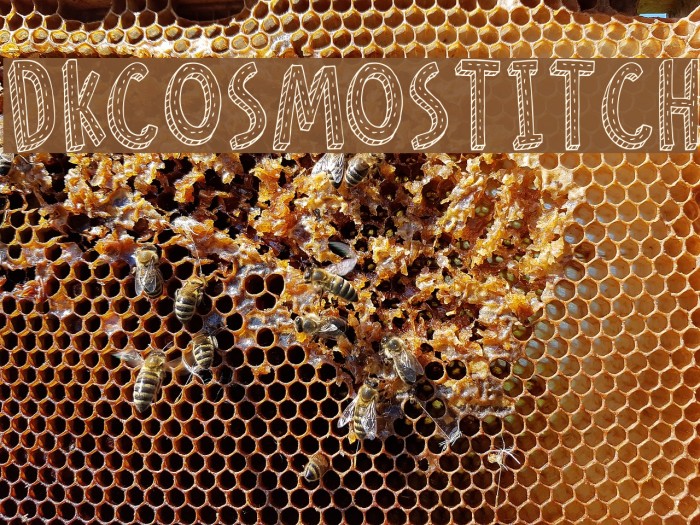 DKCosmoStitch Example 1