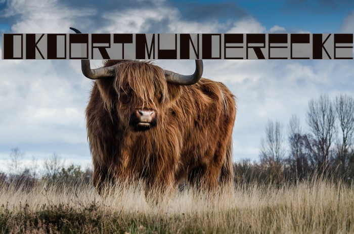 DKDortmunderEcke Font examples