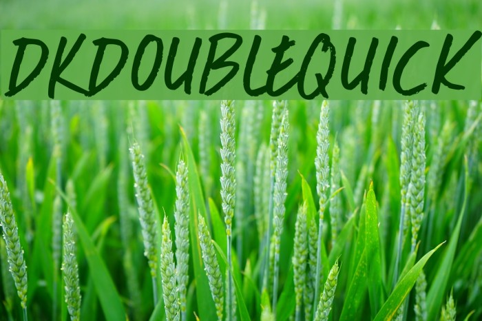 DKDoubleQuick Font examples