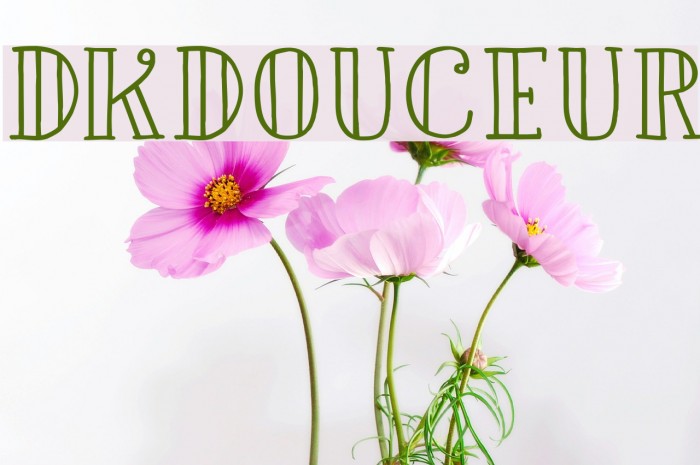 DKDouceur フォント examples