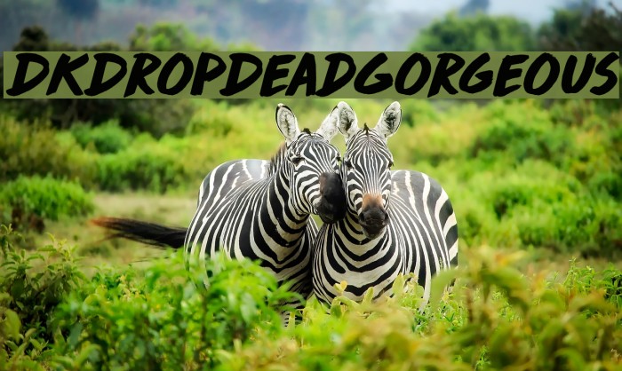 DKDropDeadGorgeous Шрифта examples