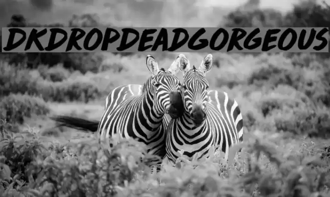 DKDropDeadGorgeous Шрифта examples