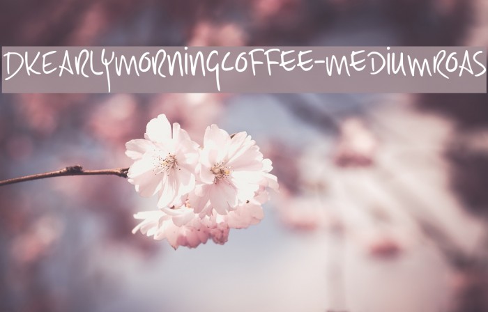 DKEarlyMorningCoffee-MediumRoas Example 3
