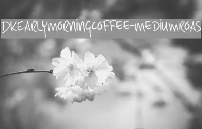 DKEarlyMorningCoffee-MediumRoas Font examples