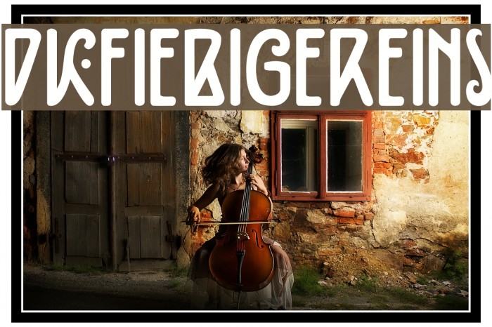 DKFiebigerEins Font examples