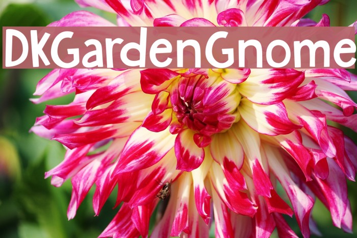 DKGardenGnome Font examples