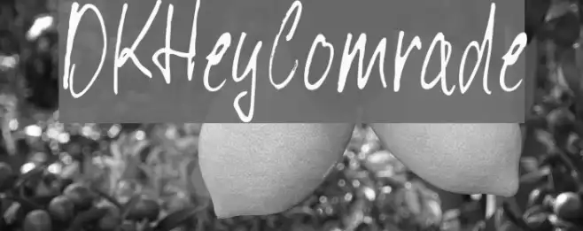 DKHeyComrade Example 2