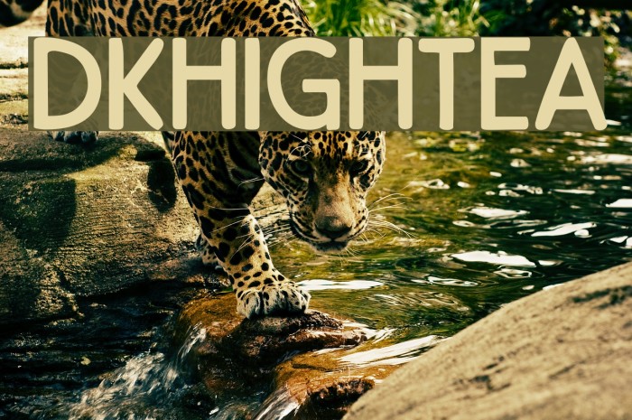 DKHighTea Font examples