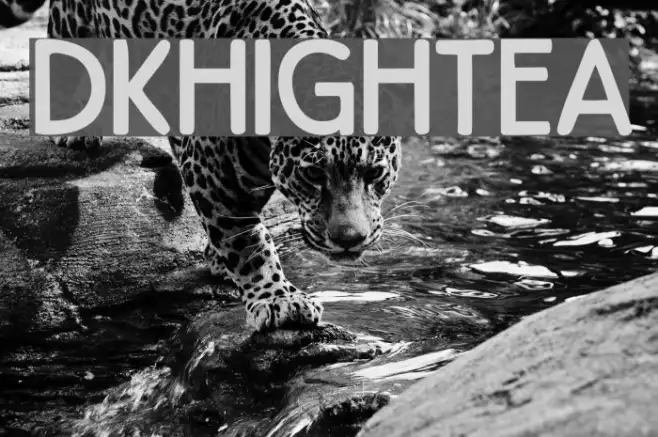 DKHighTea Example 1